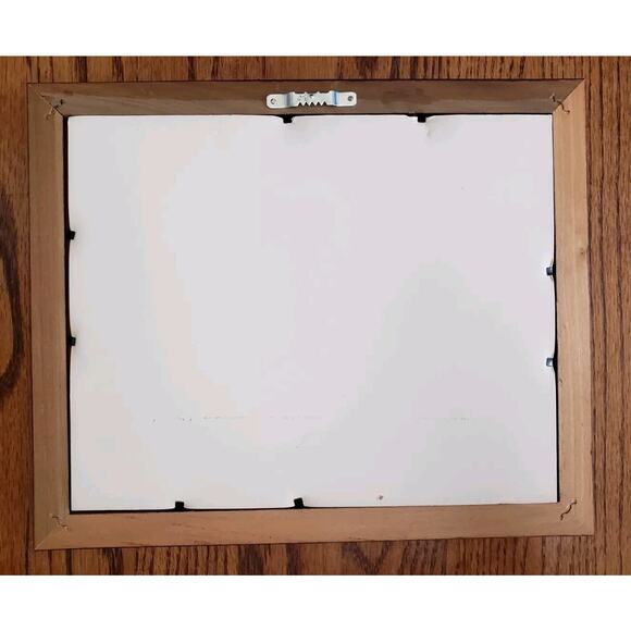 B Hutcheson RED BELLIED WOODPECKER Bird Art Signed Numbered Framed 11.5" x 9.5" - Picture 5 of 6